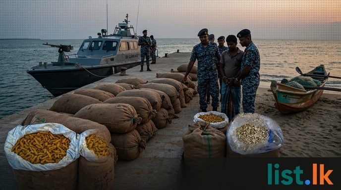 Authorities Seize Over 1.6 Tons of Illegally Imported Turmeric and Cashew Nuts in Kalpitiya