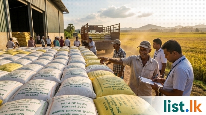 Sri Lanka Government Surpasses Yala Paddy Purchase Target, Acquires Over 46,000 Metric Tons